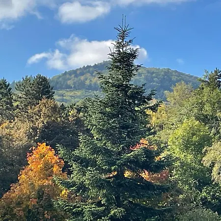 De Charme A Toi L'aviateur Au Pied Des Vosges D'alsace Prázdninový dům Wattwiller