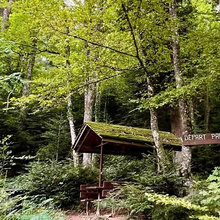 Prázdninový dům De Charme A Toi L'aviateur Au Pied Des Vosges D'alsace
