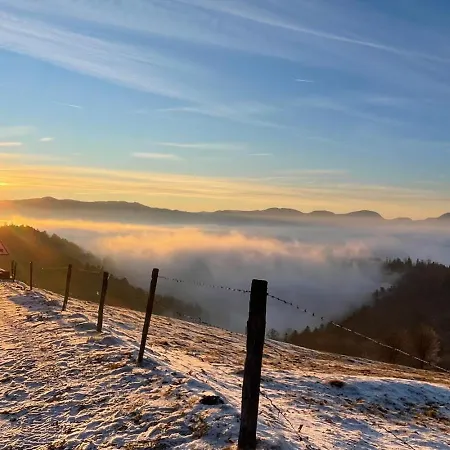 De Charme A Toi L'aviateur Au Pied Des Vosges D'alsace * Wattwiller
