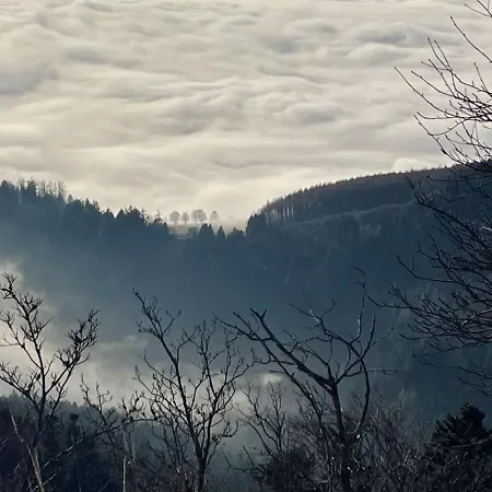 De Charme A Toi L'aviateur Au Pied Des Vosges D'alsace Prázdninový dům Wattwiller